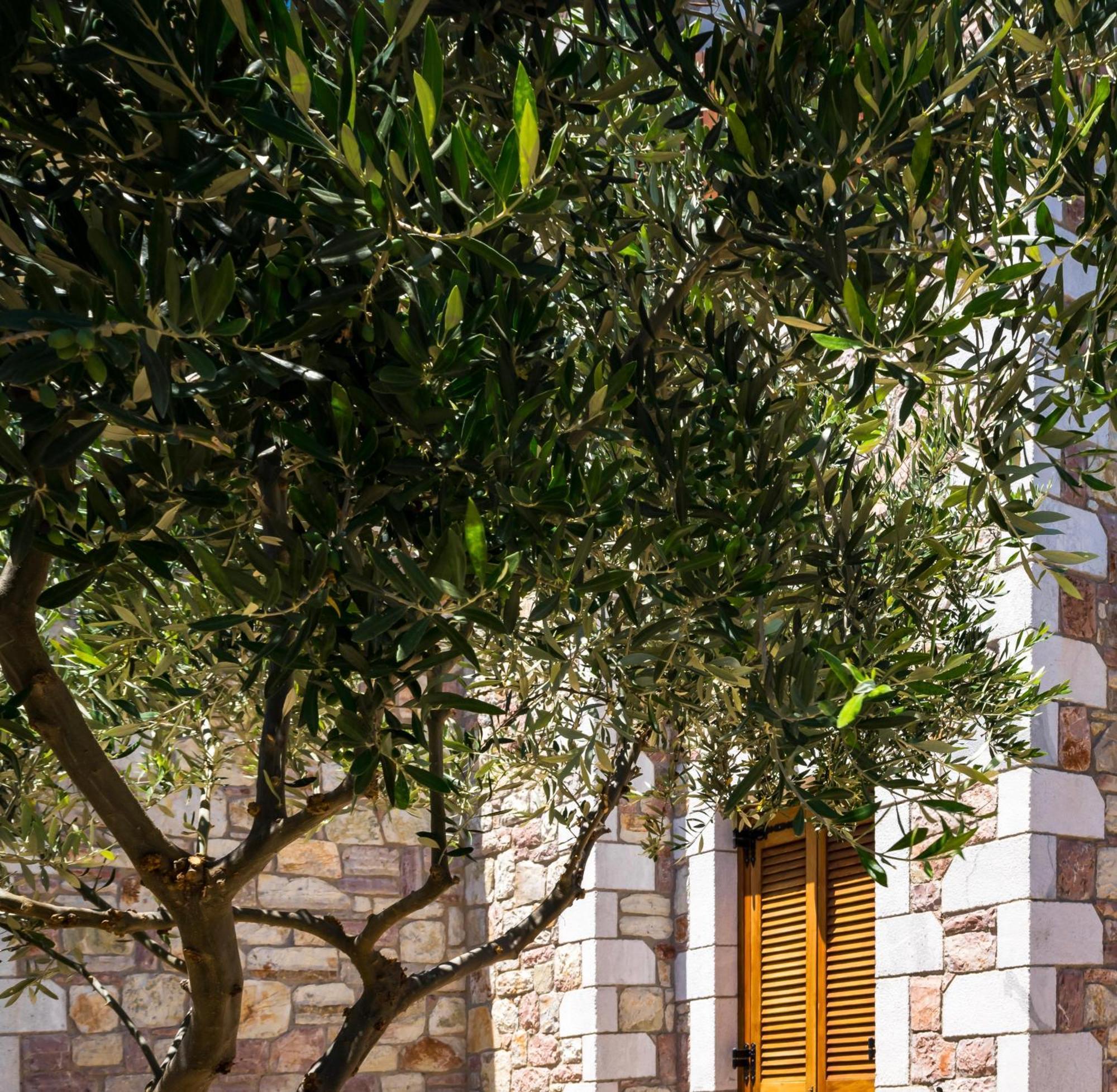 Liokrina Country Living Villas & Suites Koroni  Bagian luar foto